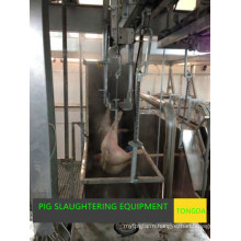 Pig Slaughter Equipment--Stunning Machine